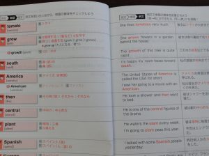 Sokudoku_eitango_2