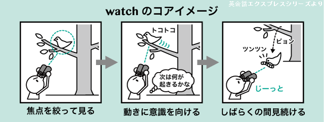 See と Look と Watch の違い 英語イメージリンク